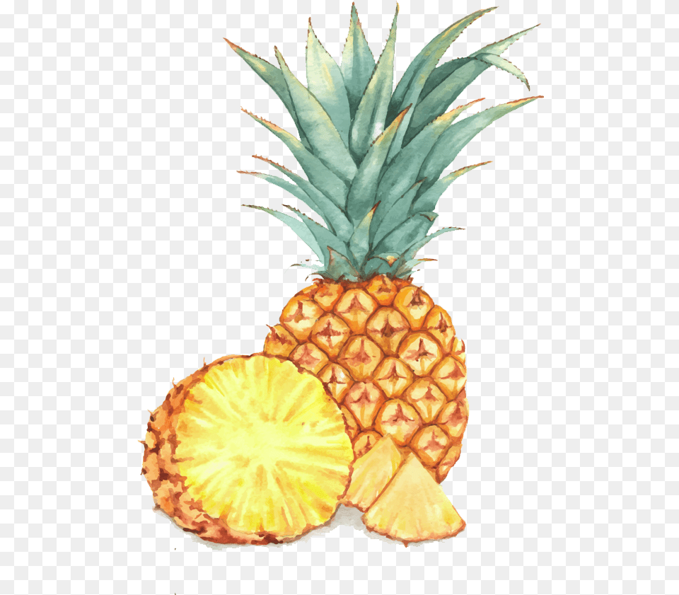 Watercolor Painting Illustration A Transprent Pineapple Vector Illustration, Food, Fruit, Plant, Produce Free Transparent Png