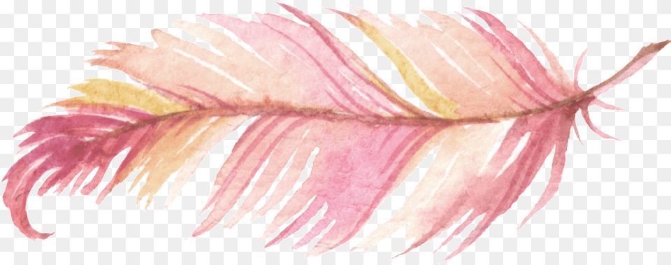 Watercolor Painting Logo Feathers Pink Feather, Plant, Leaf, Accessories, Flower Free Png Download