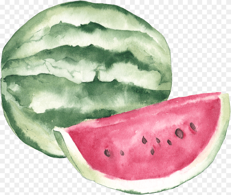 Watercolor Painting Lychee Illustration Watermelon Clipart Watercolor Png Image