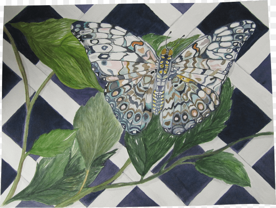 Watercolor Painting Of A Butterfly Png Image