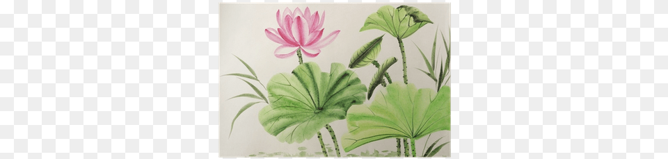 Watercolor Painting Of Pink Lotus Flower Poster Pixers Art Print Surovtseva39s Watercolor Painting Of Pink, Leaf, Plant, Lily, Pond Lily Png
