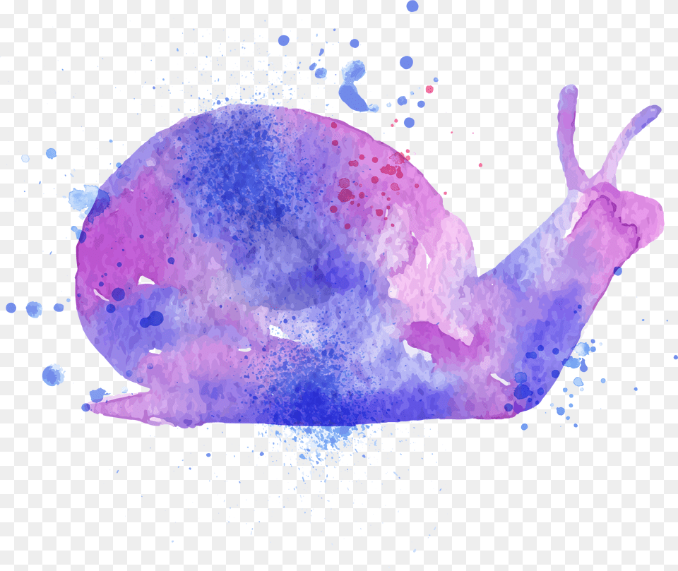 Watercolor Painting Orthogastropoda Drawing Illustration Watercolor Painting, Purple, Animal Free Png Download
