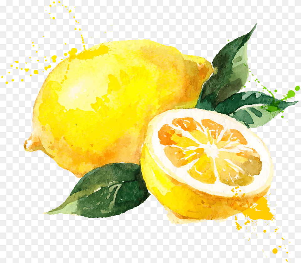 Watercolor Painting Royalty Cartoon Lemon, Citrus Fruit, Food, Fruit, Plant Png Image