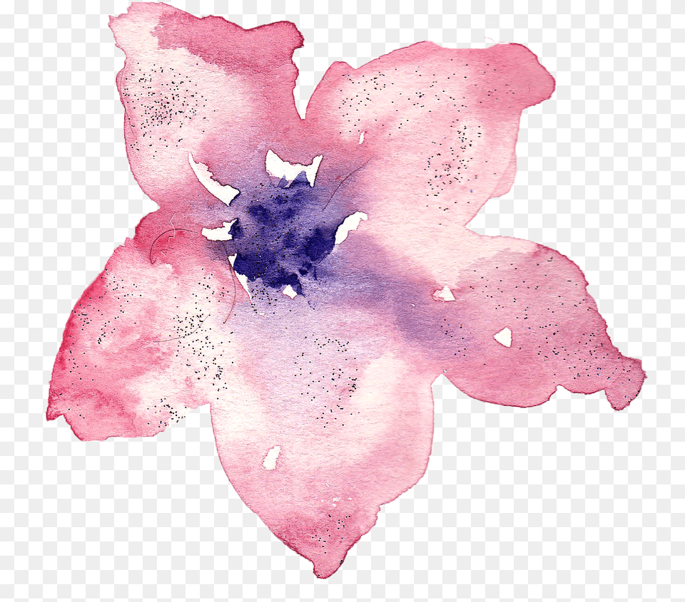Watercolor Painting Transparent Watercolor Watercolour Transparent Background Watercolor, Plant, Petal, Flower, Person Png Image