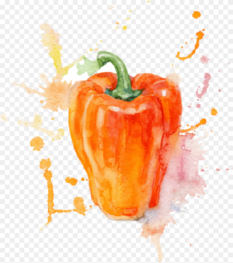 Watercolor Painting Vegetable Illustration Water Colour For Vegetables, Bell Pepper, Food, Pepper, Plant Free Transparent Png