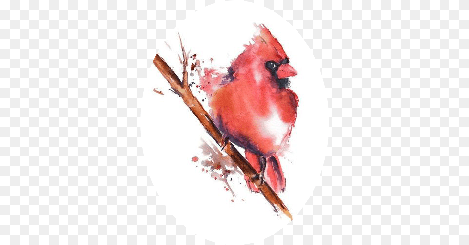 Watercolor Painting Watercolor Red Cardinal Painting, Animal, Beak, Bird, Photography Free Png Download