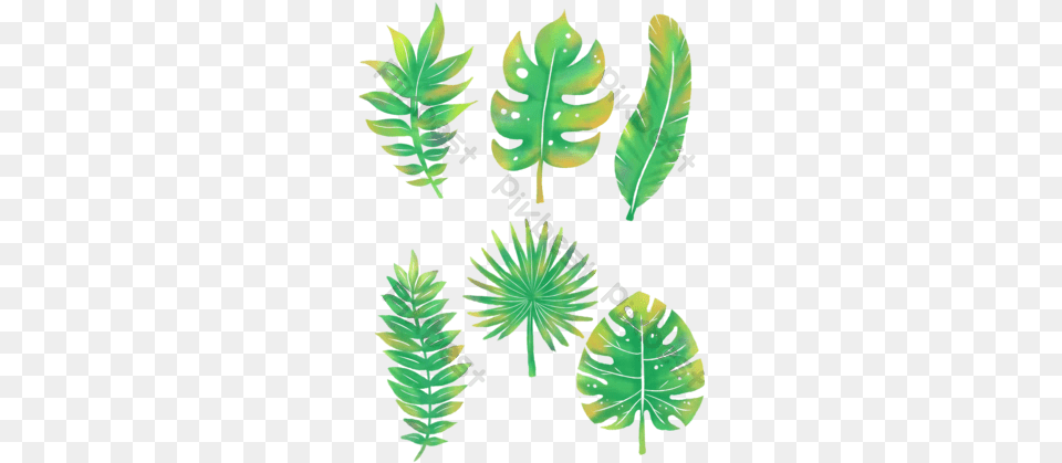 Watercolor Palm Leaves Templates Psd U0026 Vector Daun Lukisan, Leaf, Plant, Fern, Person Free Png Download