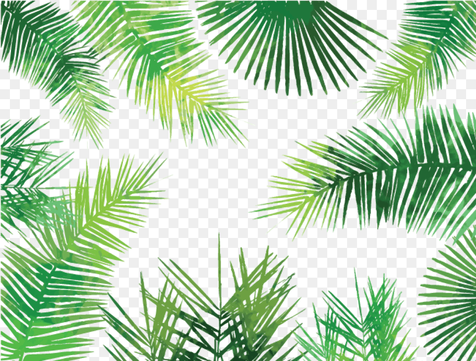 Watercolor Palm Leaves Tropical Leaves Background, Vegetation, Tree, Plant, Leaf Png