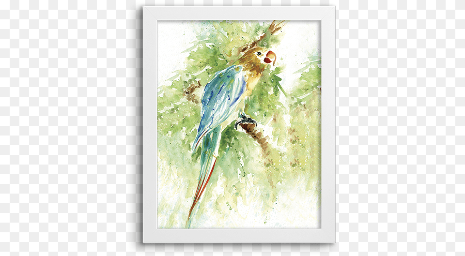 Watercolor Parrot Carol Robinson Large 3 Piece Canvas Print Island, Animal, Beak, Bird, Parakeet Png