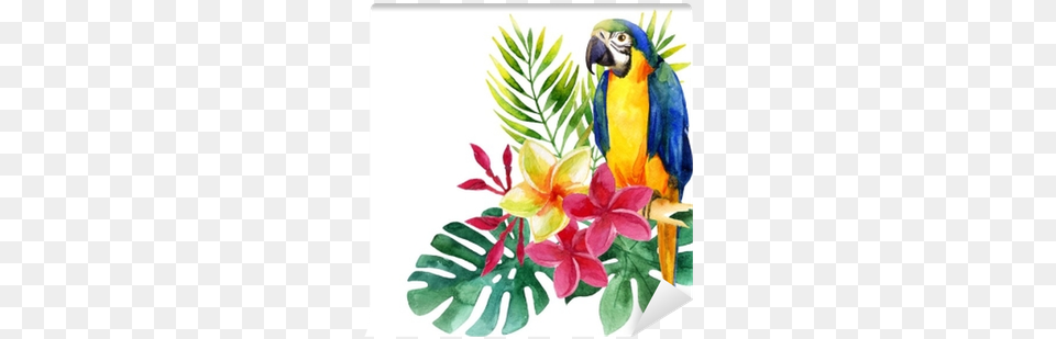 Watercolor Parrot With Exotic Flowers And Leaves Wall Art Print Tanycya39s Tropical Leaves, Animal, Bird, Macaw Png Image