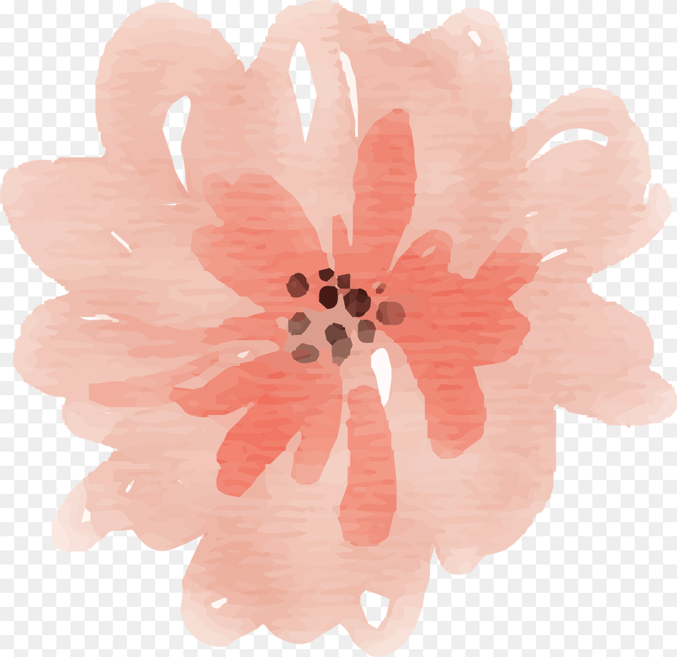 Watercolor Peach Flower Clipart, Dahlia, Petal, Plant, Anther Free Png