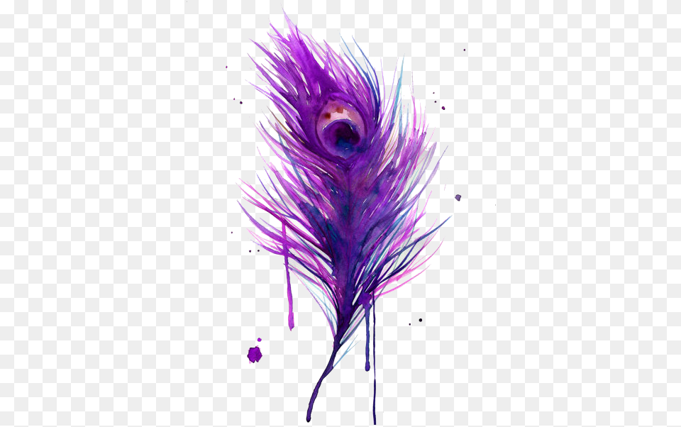 Watercolor Peacock Feather Painting, Purple, Art, Flower, Graphics Free Transparent Png