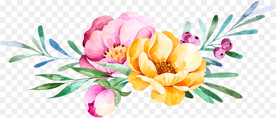 Watercolor Peonies Picture Flower Watercolor, Plant, Art, Floral Design, Pattern Free Png