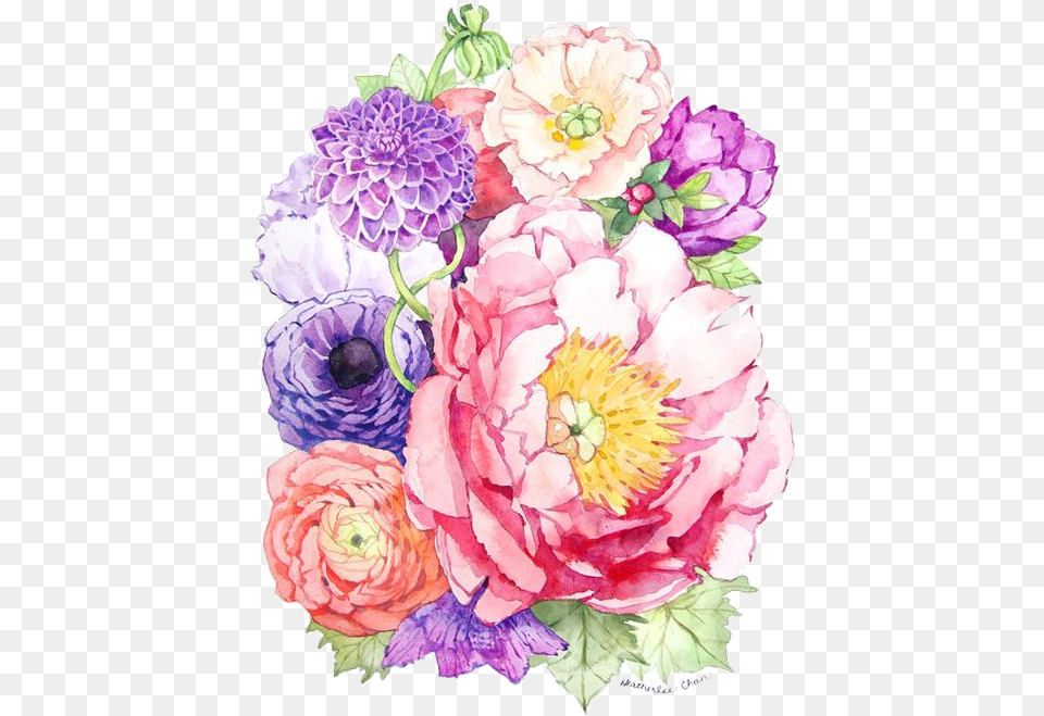 Watercolor Peony Flower Painting, Plant, Dahlia, Flower Bouquet, Flower Arrangement Free Png
