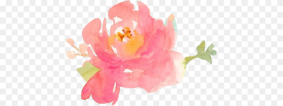 Watercolor Peony Image Watercolor Painting, Anther, Flower, Petal, Plant Free Png Download