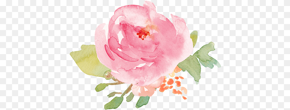 Watercolor Pink Flower, Petal, Plant, Rose, Pattern Free Png Download