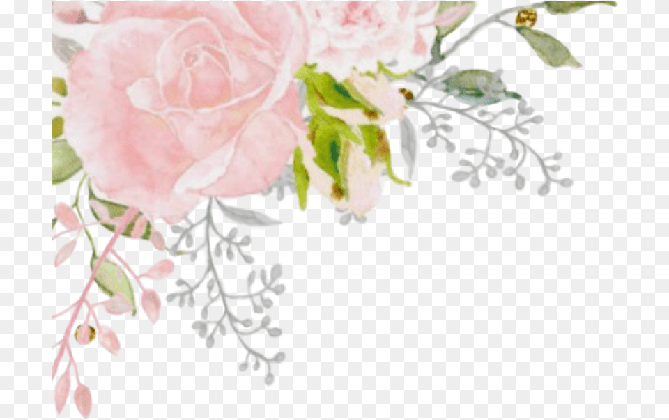 Watercolor Pink Flowers Floral Corner Roses Pastel Corner Pink Flower Watercolor, Art, Plant, Petal, Pattern Png