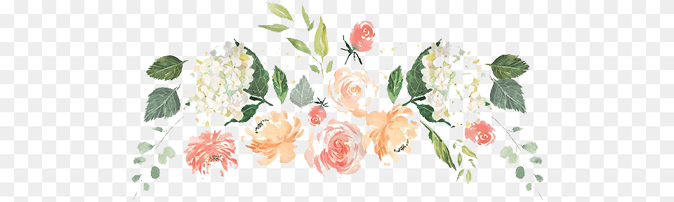 Watercolor Pink Magnolia Hoja Con Lineas Decorada, Art, Floral Design, Flower, Graphics Free Png