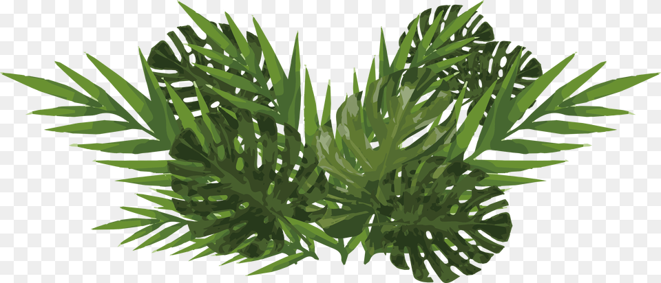 Watercolor Plants, Leaf, Palm Tree, Plant, Tree Free Png