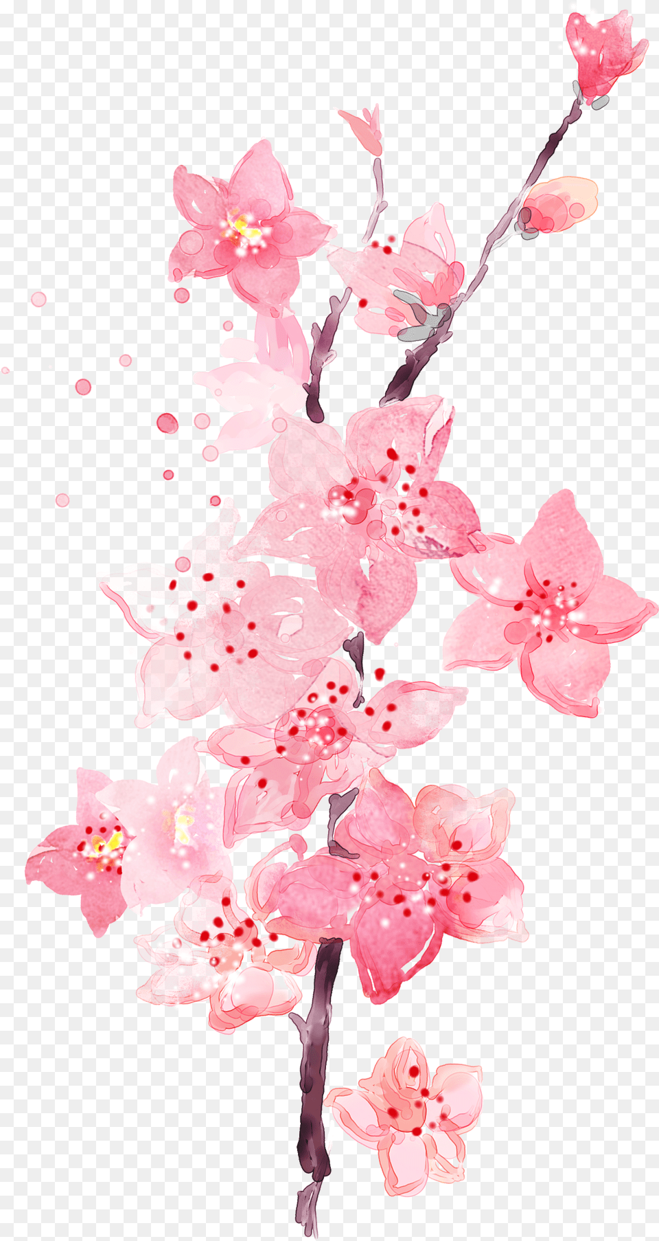 Watercolor Plum Blossom Transparent Decorative Watercolor Pink Flower Png