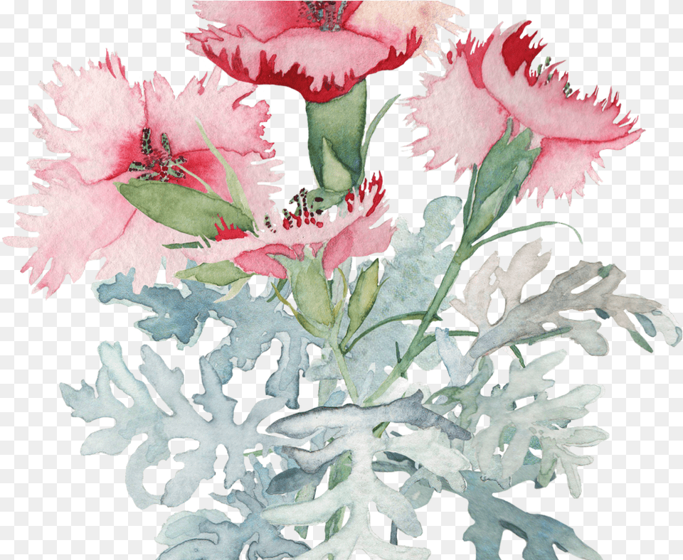 Watercolor Poppy Leaves Google Search Tattoos Flowers Water Color, Carnation, Flower, Plant, Person Free Png Download