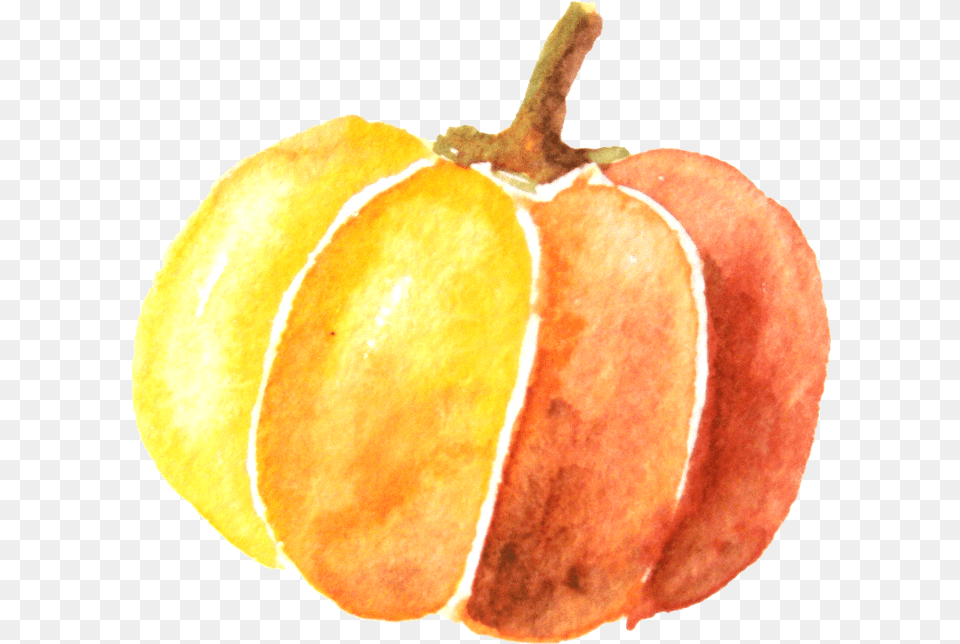 Watercolor Pumpkin Download Background Watercolor Pumpkin, Food, Plant, Produce, Vegetable Free Png