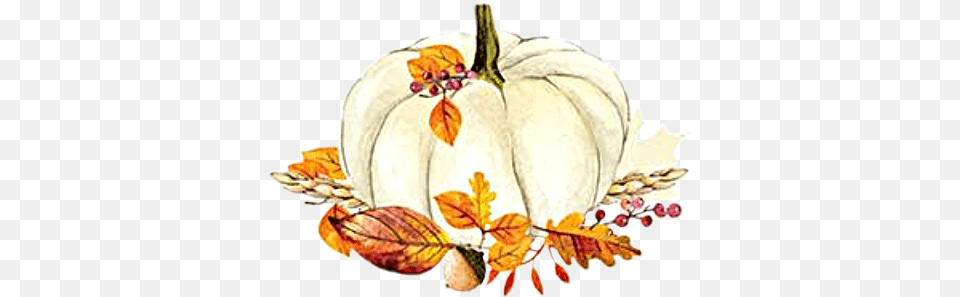 Watercolor Pumpkin Leaves Acorn Fall Autumn Harvest Transparent Background, Food, Plant, Produce, Vegetable Png
