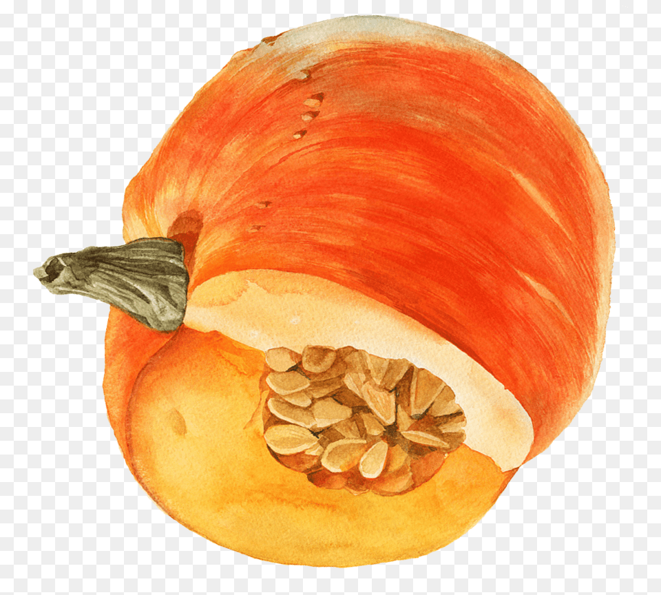 Watercolor Pumpkin Pumpkin, Food, Plant, Produce, Vegetable Png
