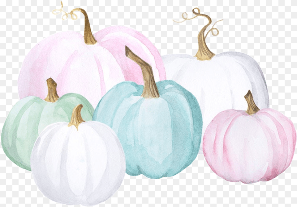 Watercolor Pumpkins Pastel Teal Turquoise Blue White Painted Pumpkin Watercolor, Food, Plant, Produce, Vegetable Free Png