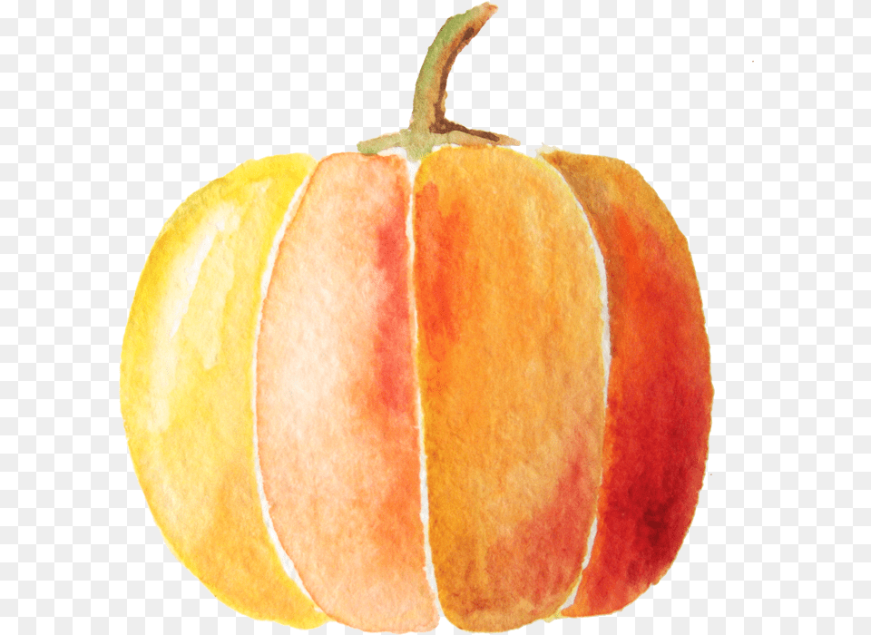 Watercolor Pumpkins Pumpkin Watercolor Clip Art Transparent Pumpkin Watercolor, Food, Fruit, Plant, Produce Free Png Download