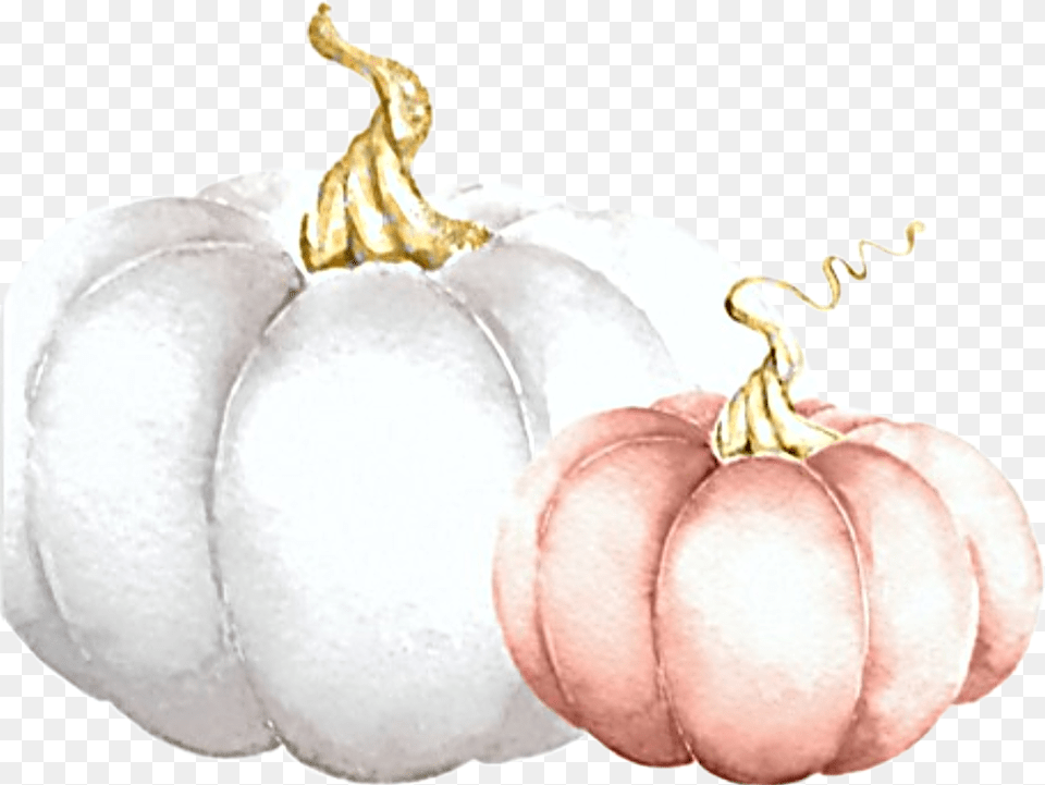 Watercolor Pumpkins White Pink Fall Autumn Harvest Pumpkin, Food, Plant, Produce, Vegetable Png