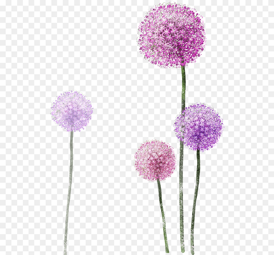 Watercolor Purple Flower Painting Dandelion Frame Dandelion, Plant, Allium, Dahlia Free Png Download