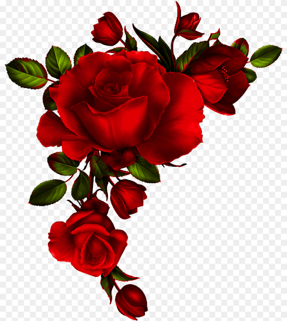 Watercolor Red Roses, Flower, Flower Arrangement, Flower Bouquet, Plant Free Png Download