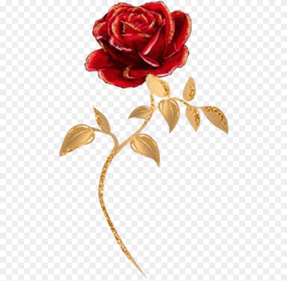 Watercolor Rose Flower Flowers Roses Floral Red Beauty And The Beast Single Rose, Petal, Plant, Flower Arrangement, Pattern Png Image