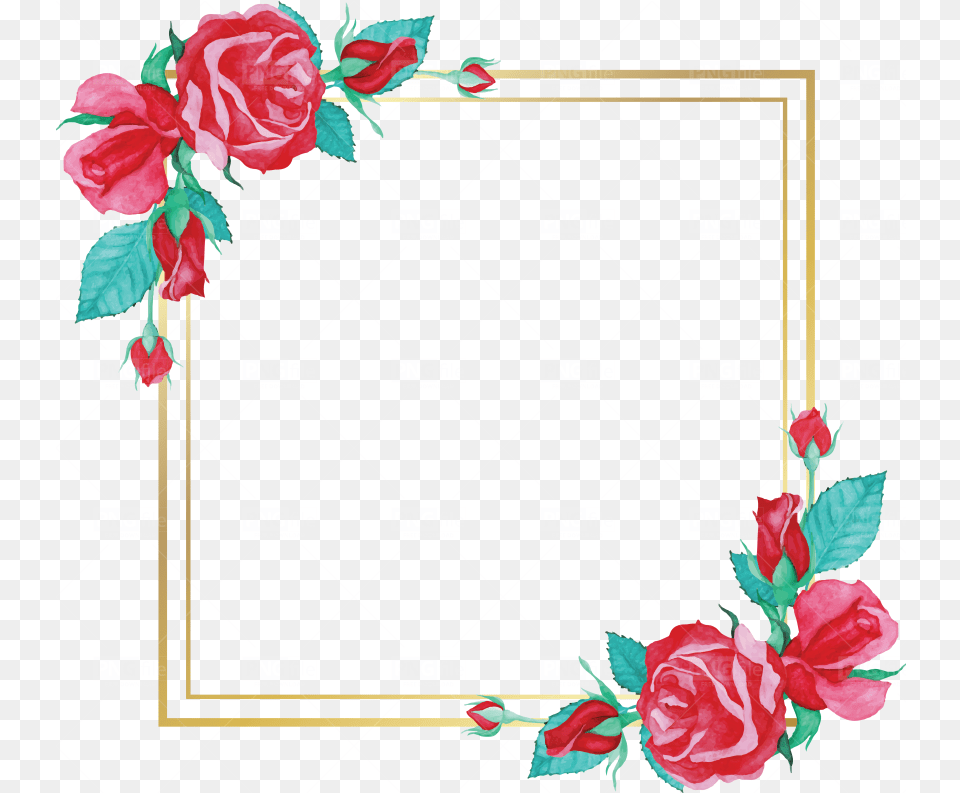 Watercolor Rose Flower Frame Design Floral, Plant, Pattern, Art, Floral Design Png