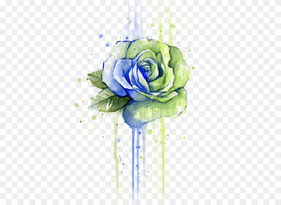Watercolor Roses, Flower, Plant, Rose, Art Free Png