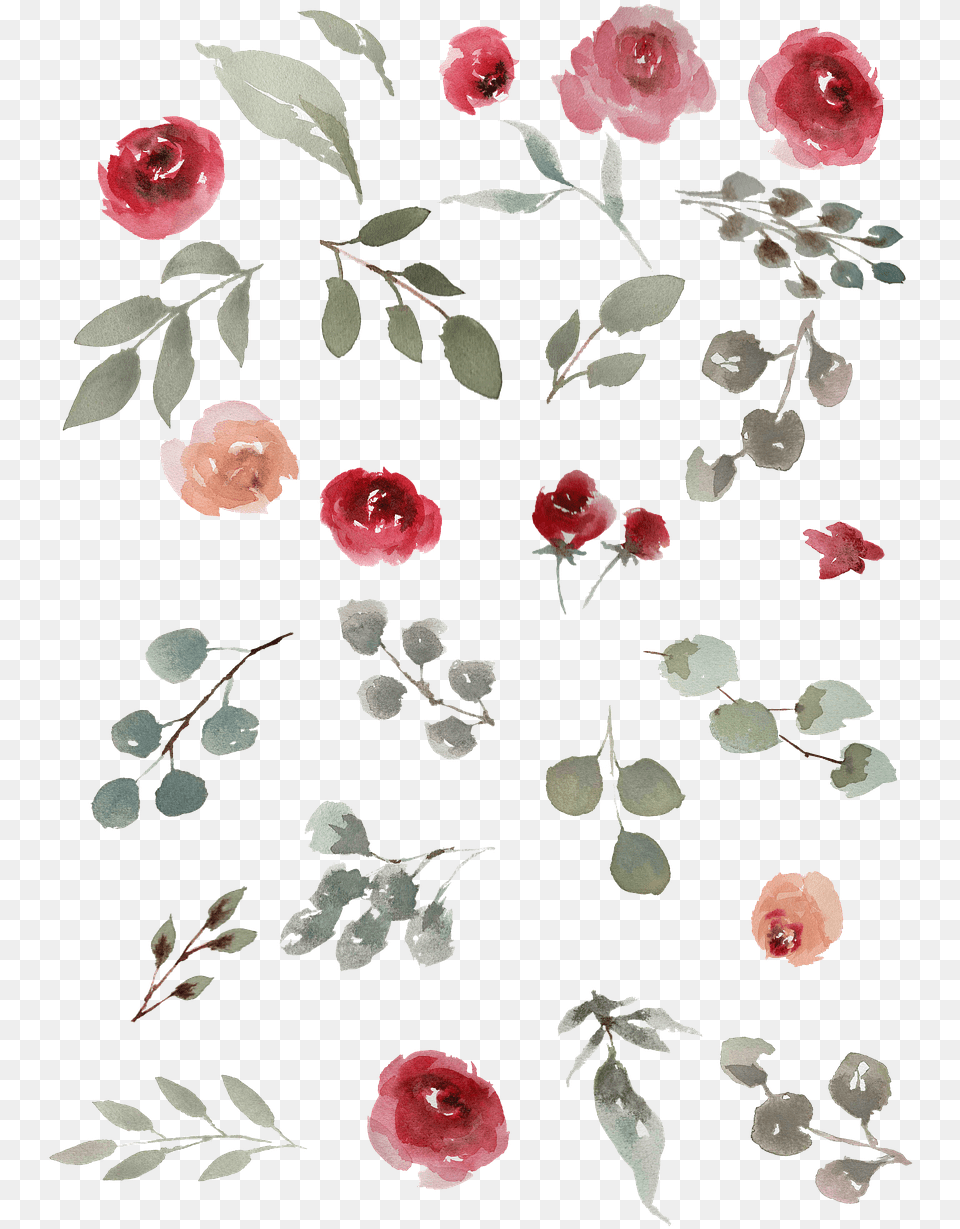 Watercolor Roses Green Tiny Water Color Flowers, Flower, Petal, Plant, Rose Free Transparent Png