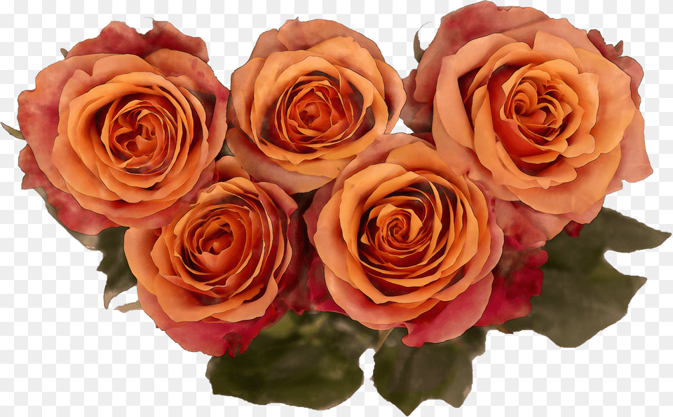 Watercolor Royalty Roses Garden Roses Free Png Download