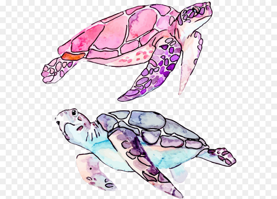 Watercolor Sea Turtle, Animal, Reptile, Sea Life, Sea Turtle Free Transparent Png