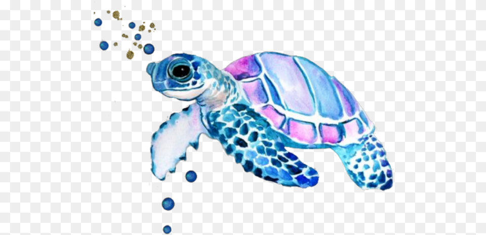 Watercolor Sea Turtle Tattoo Sea Turtle Tattoo Watercolor, Animal, Reptile, Sea Life, Tortoise Free Png Download