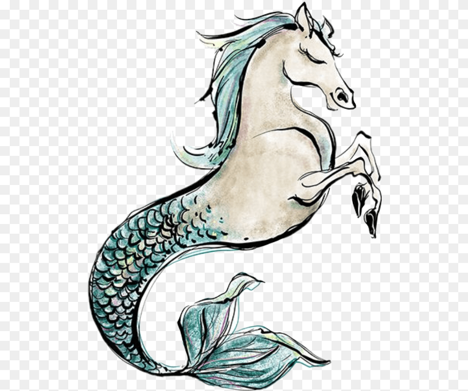 Watercolor Seahorse Mermaid Merman Horse Clipart Scales Mermaid Horse, Art, Drawing Png
