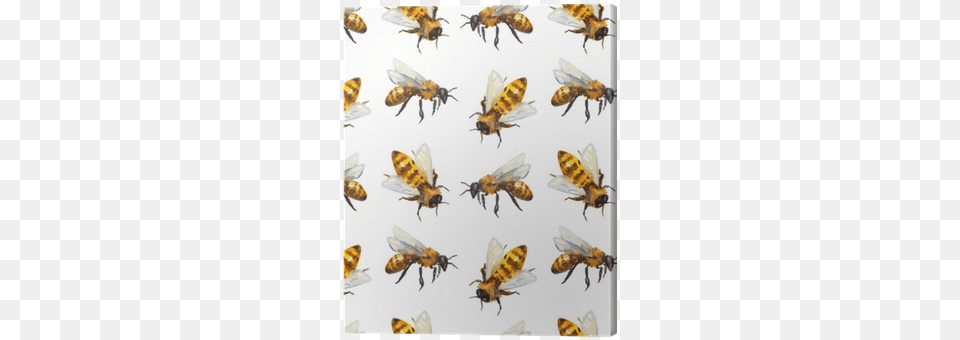 Watercolor Seamless Pattern With Bee Canvas Print Watercolor Bees On Honeycomb White Case Ipad Air, Animal, Honey Bee, Insect, Invertebrate Png