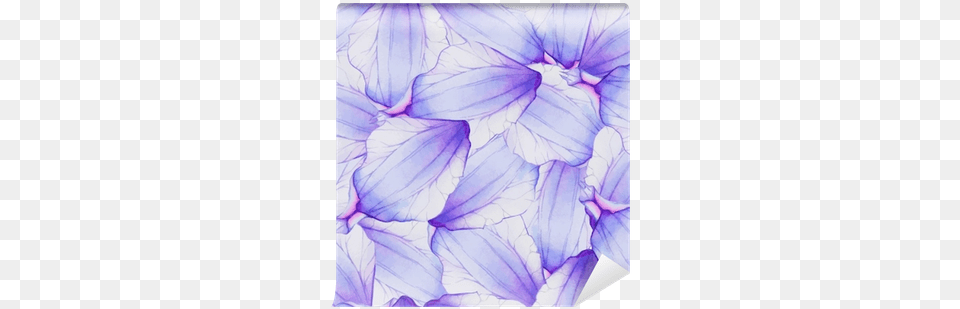 Watercolor Seamless Pattern With Purple Flower Petal Purple Watercolor Pattern, Geranium, Plant, Baby, Person Free Png Download