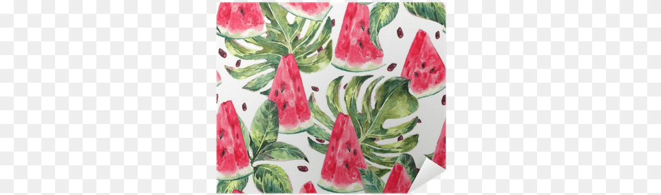 Watercolor Seamless Pattern With Slices Of Watermelon Mc2 St Barth Watermelon Print Jean Trunks, Food, Fruit, Plant, Produce Png Image
