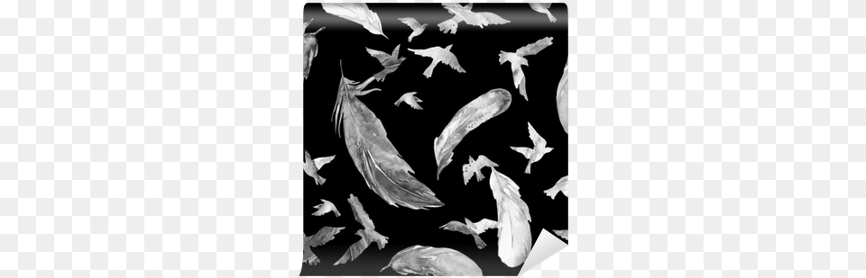 Watercolor Silhouettes Of Flying Birds And Feathers Bird, Animal Free Png Download