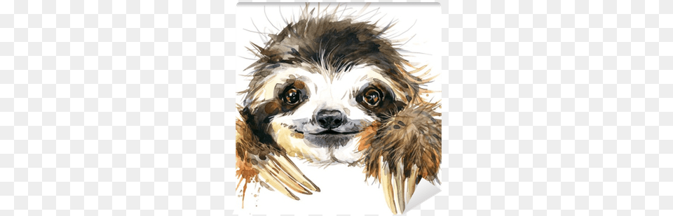 Watercolor Sloth Illustration Watercolor Sloth, Art, Animal, Canine, Dog Png Image