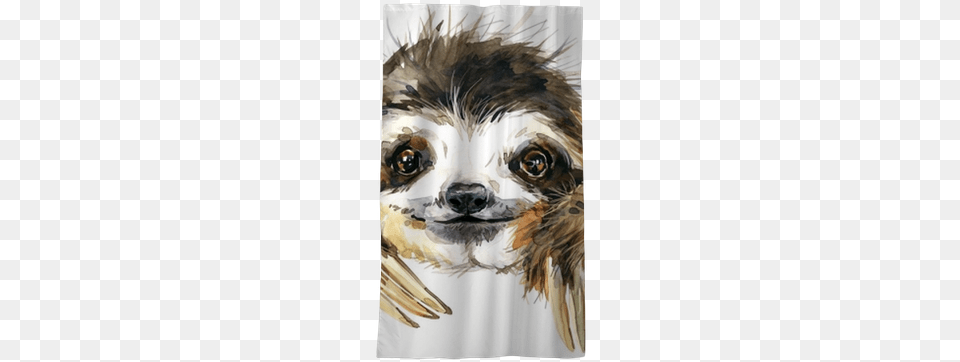 Watercolor Sloth Illustration Watercolor Sloth, Art, Painting, Person Png Image