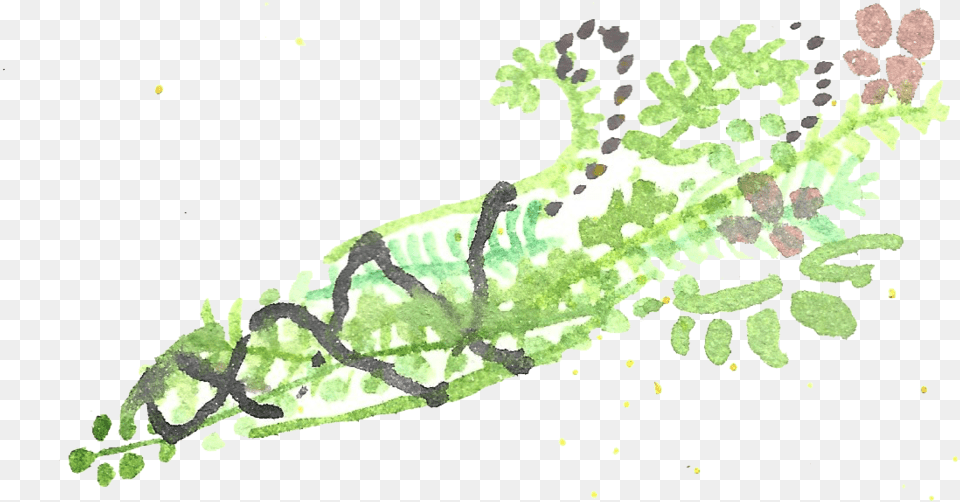 Watercolor Smudge Wand Sea Lettuce, Plant, Animal, Reptile Free Png