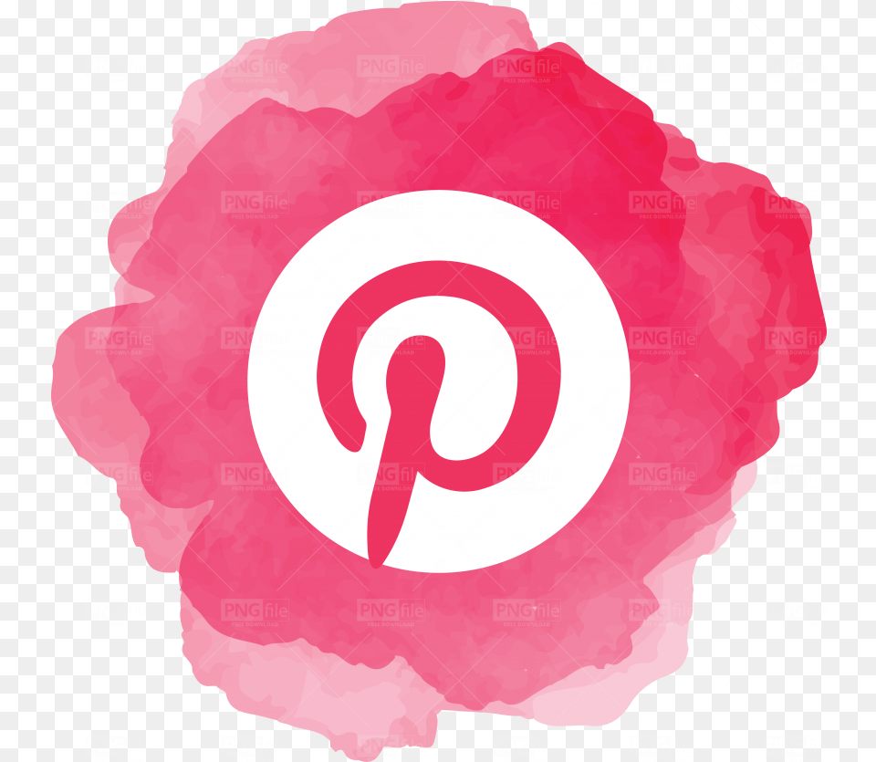 Watercolor Social Media Logo Whatsapp Icon Watercolor, Flower, Plant, Petal, Ammunition Free Png