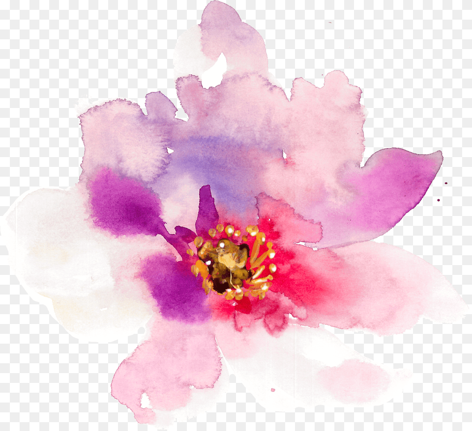 Watercolor Spring Flowers Spring Flowers In Watercolor Painting Png